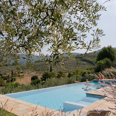 Pieve Di Chio *